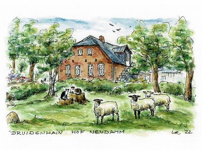 Zeichnung Außenansicht und Schafe "Druidenhain" von Ingrid Weber