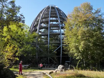 Ferienwohnung für 3 Personen (80 m²) in Neukirchen vorm Wald 8/10