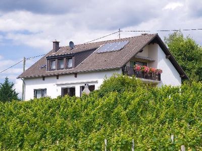 Ferienweingut Bollig