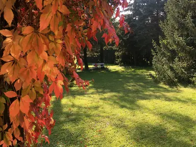 Ferienwohnung für 4 Personen (88 m²) in Neumark (Thüringen) 10/10
