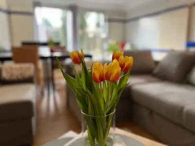 Ferienwohnung für 4 Personen (88 m²) in Neumark (Thüringen) 7/10