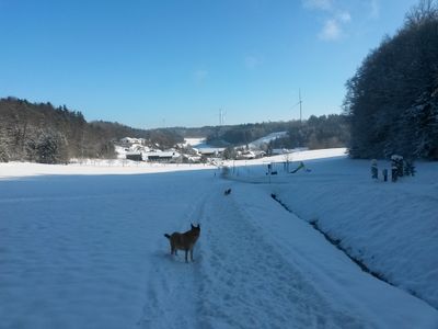 Winter in Voggental