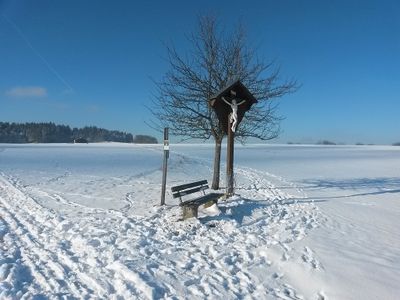 Winterlandschaft