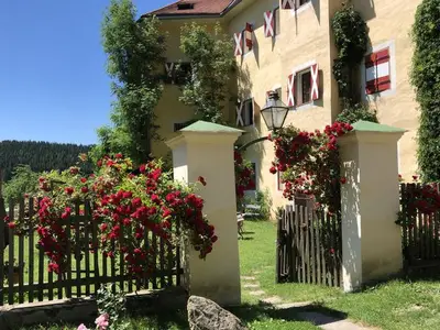 Ferienwohnung für 4 Personen (65 m²) in Neumarkt in Steiermark 1/10