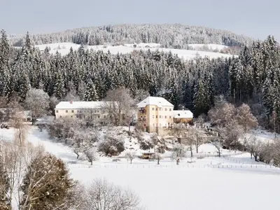 Ferienwohnung für 4 Personen (65 m²) in Neumarkt in Steiermark 6/10