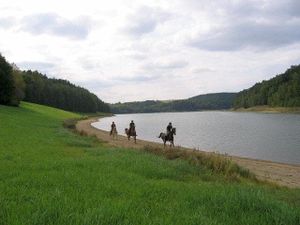 23340216-Ferienwohnung-4-Neunburg vorm Wald-300x225-3