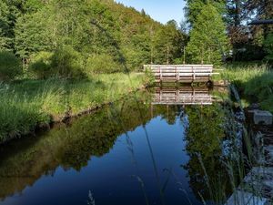 23875824-Ferienwohnung-4-Neunburg vorm Wald-300x225-1