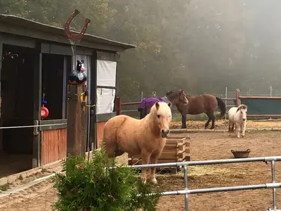 Umgebung
