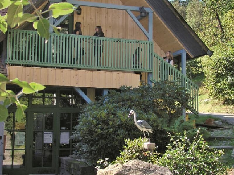 24019696-Ferienwohnung-4-Neunburg vorm Wald-800x600-1