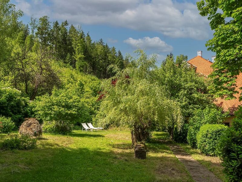 22334601-Ferienwohnung-2-Neunburg vorm Wald-800x600-2