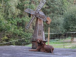 24019697-Ferienwohnung-4-Neunburg vorm Wald-300x225-3