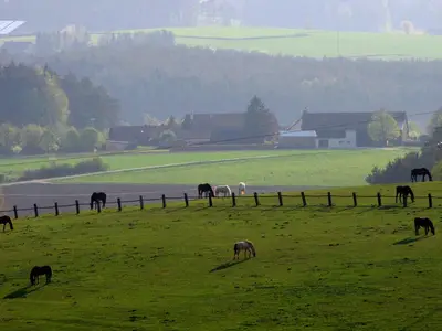 Blick zum Reiterhof in Seebarn