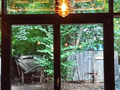 Blick auf den Wildgarten v. Esszimmer aus