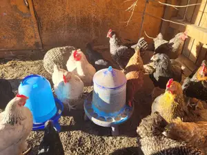 Ferienwohnung für 4 Personen (60 m²) in Neunburg vorm Wald