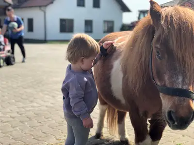 Auch Putzen muß sein