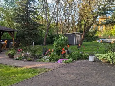 Ferienwohnung für 6 Personen (95 m²) in Neupetershain 10/10