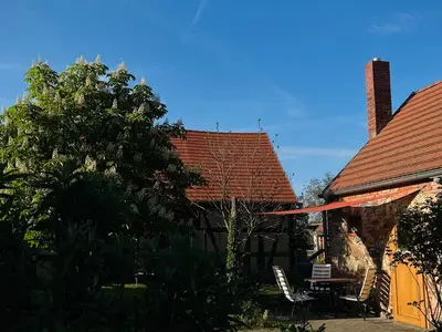 Ferienwohnung für 3 Personen (44 m²) in Neupetershain 2/10