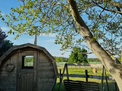 Ferienwohnung für 3 Personen (44 m²) in Neupetershain 4/10