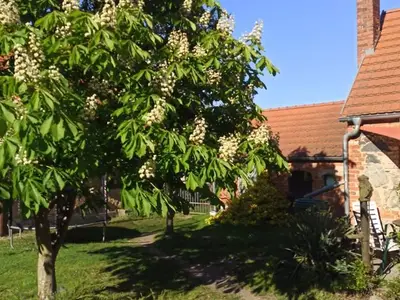 Ferienwohnung für 3 Personen (44 m²) in Neupetershain 9/10