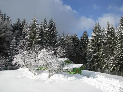 Ferienwohnung für 5 Personen (70 m²) in Neureichenau 9/10