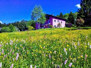 Ferienwohnung für 2 Personen (40 m²) in Neureichenau