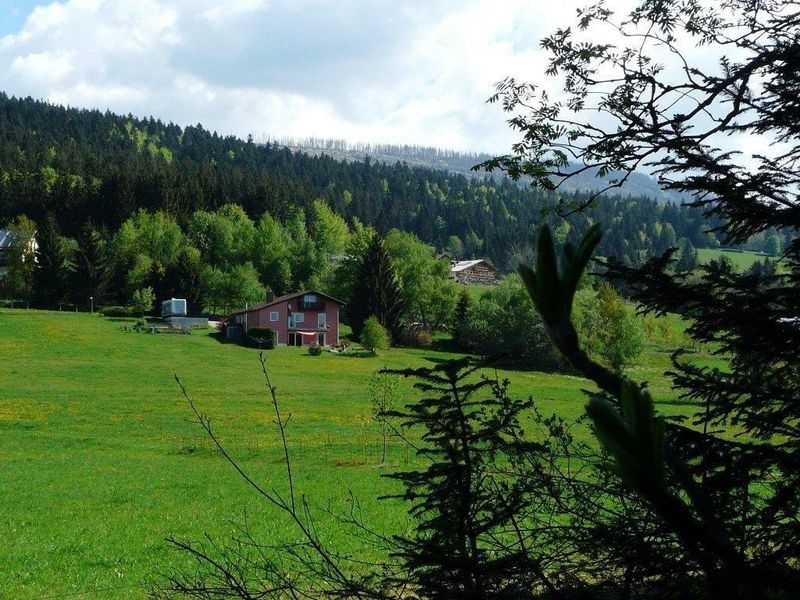 22481213-Ferienwohnung-2-Neureichenau-800x600-2