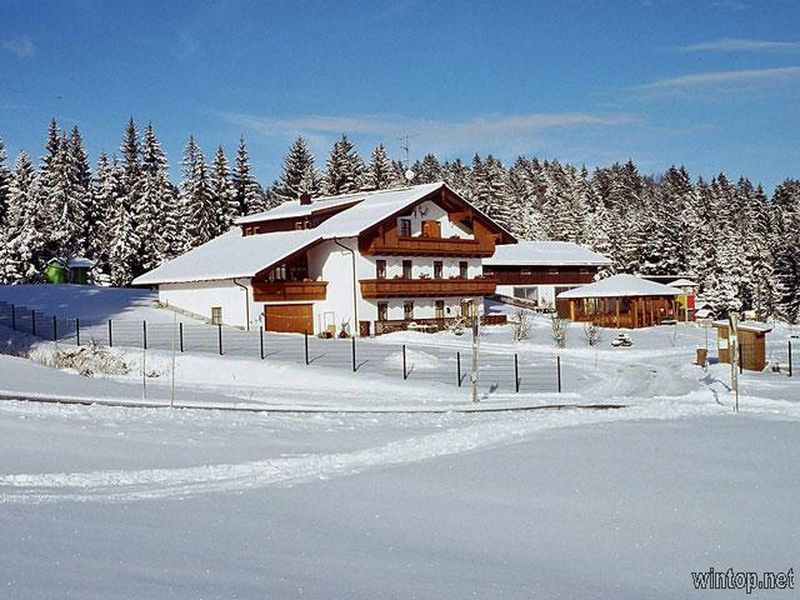 15187553-Ferienwohnung-2-Neureichenau-800x600-1