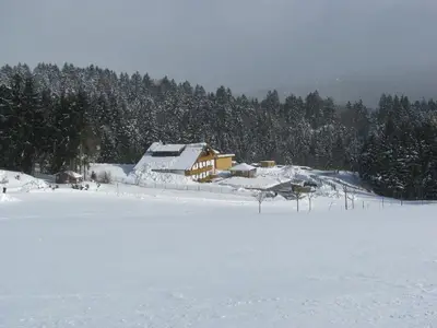Ferienwohnung für 5 Personen (70 m²) in Neureichenau 8/10