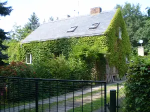 Ferienwohnung für 6 Personen (70 m²) in Nietwerder