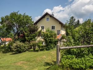 19006957-Ferienwohnung-6-Neuschönau-300x225-3