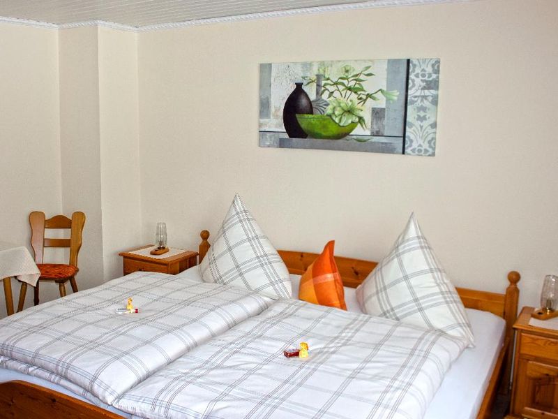 22139871-Ferienwohnung-5-Neuschönau-800x600-0