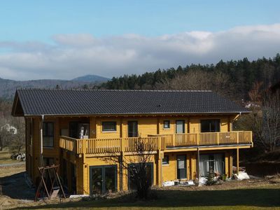 Haus mit Baum-Ei