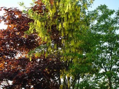Ferienwohnung Späth