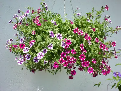 Ferienwohnung Späth