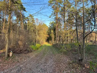 Ferienwohnung für 2 Personen (20 m²) in Neustadt am Rübenberge 8/10