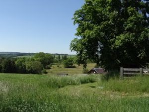 22019265-Ferienwohnung-4-Neustadt an der Orla-300x225-5