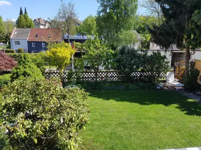 Blick in den Garten