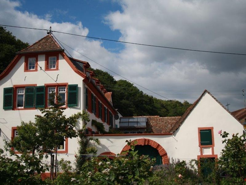 18925279-Ferienwohnung-4-Neustadt an der Weinstraße-800x600-1