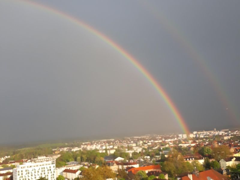 23345072-Ferienwohnung-4-Neustadt an der Weinstraße-800x600-2