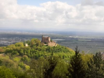 Hambacher Schloss aus Richtung Wald