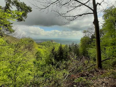 Hambacher Schloss