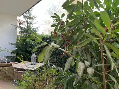 Ferienwohnung für 4 Personen (66 m²) in Neustadt 8/10