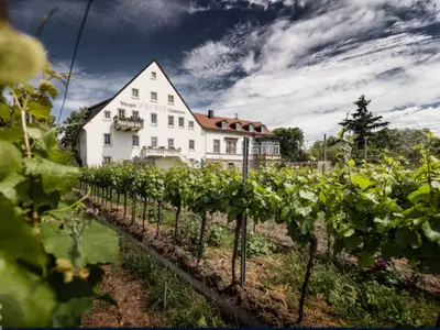 Weingut und Gästehaus