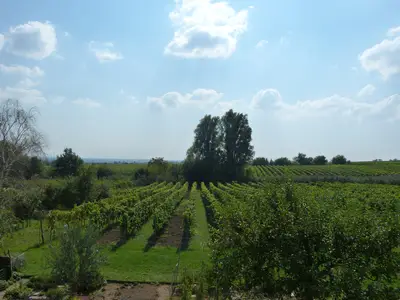 Gartenseite