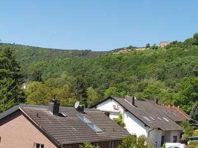 Burgblick