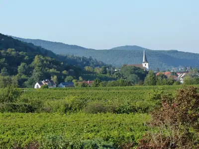 Blick Richtung Hambach