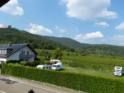 Blick zum Hambacher Schloß