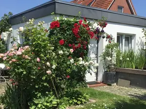 Ferienwohnung für 2 Personen (40 m²) in Neustadt In Holstein