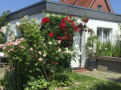 Ferienwohnung für 2 Personen (40 m²) in Neustadt In Holstein 1/10
