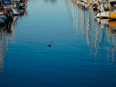 Ferienwohnung für 2 Personen (32 m²) in Neustadt In Holstein 8/10